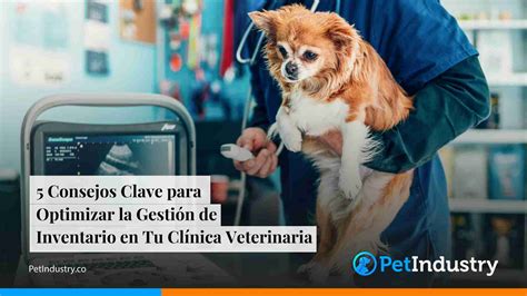 traspaso clinica veterinaria|Cómo optimizar los indicadores de gestión de tu clínica